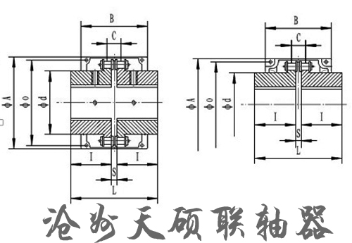 Roller Chain Coupling
