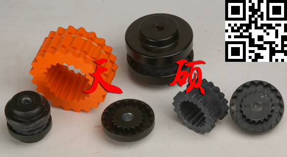 ���z�X�S��