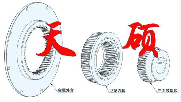 �����X�����S��