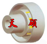 ���͏����S��