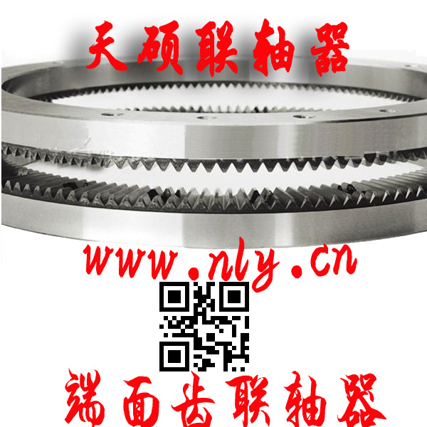 �����X�P