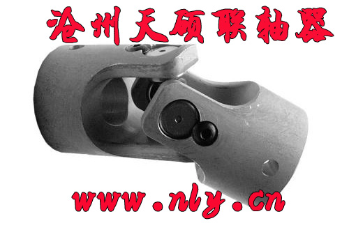 ʮ���f���S��