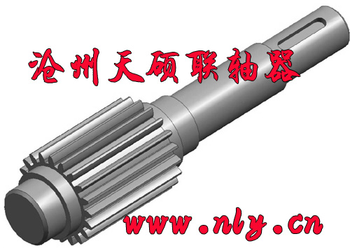 �u�_���X݆�S