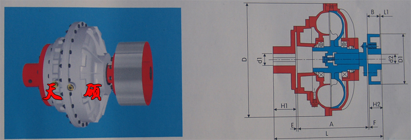 �޾���Һ��ż����