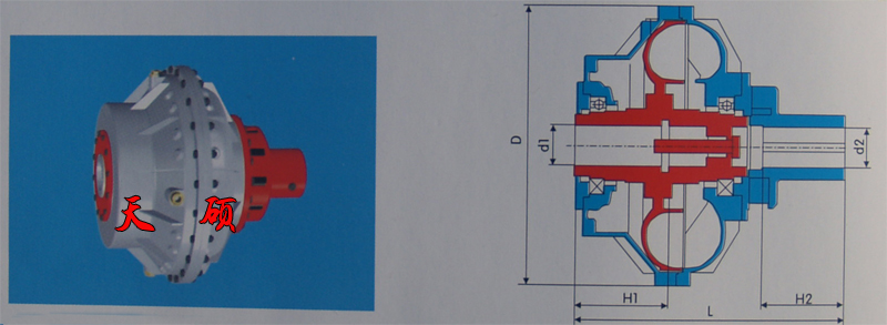 Һ��ż����