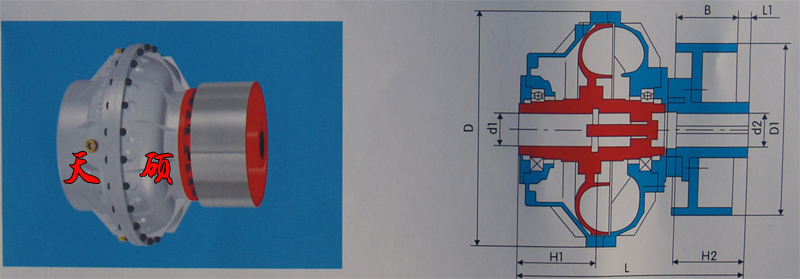 �޾���Һ��ż����