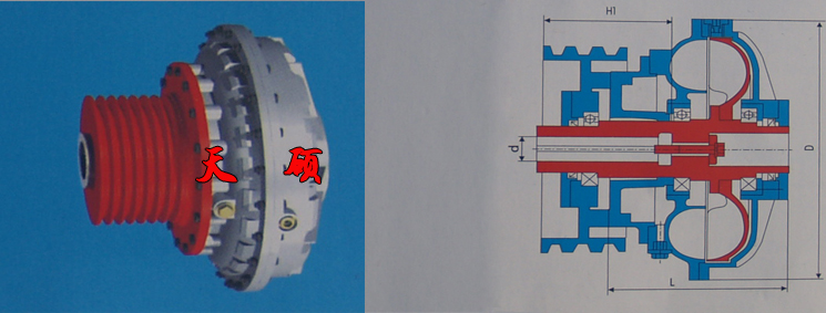 Һ�������