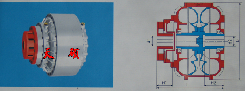 �޾���Һ��ż����