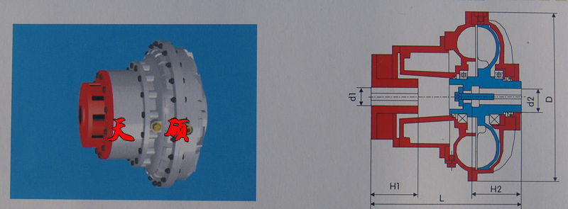 �޾���Һ��ż����