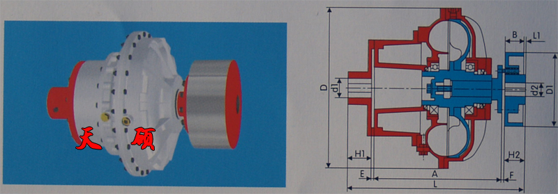 �޾���Һ��ż����