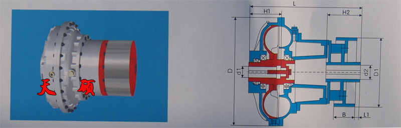 �޾���Һ��ż����