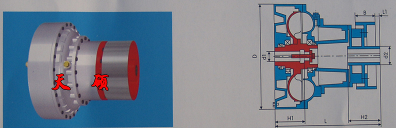 Һ��ż����